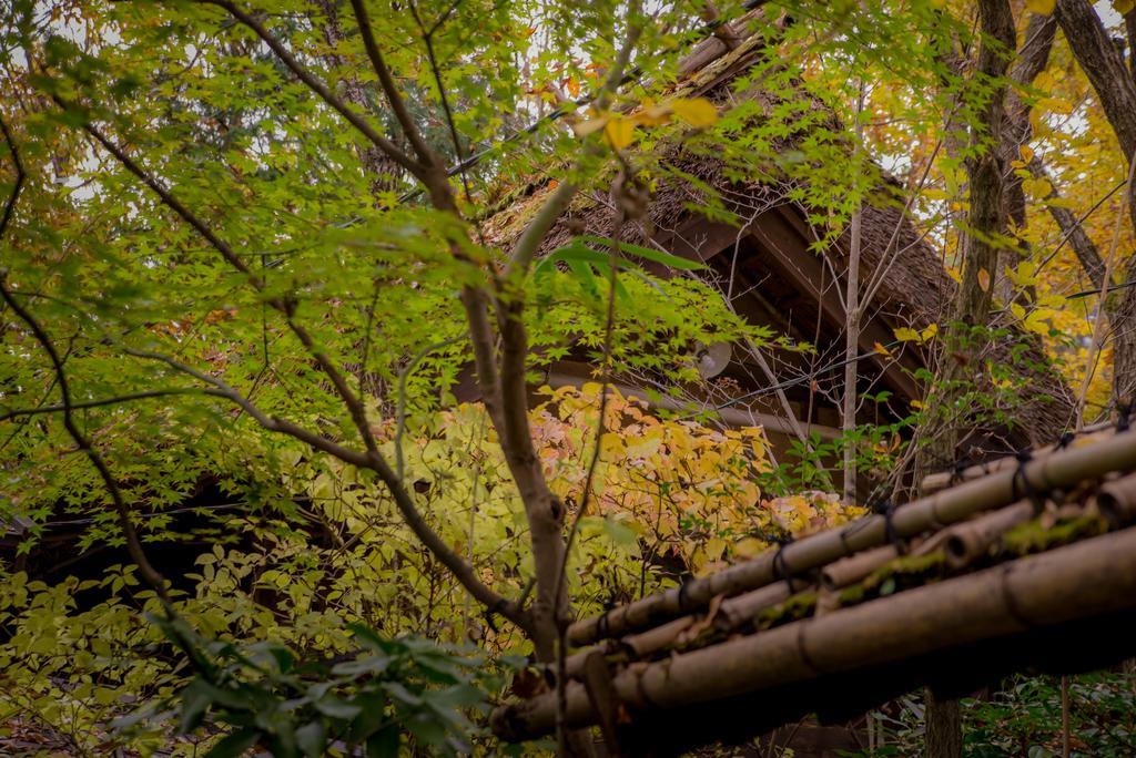 Hotel Kurokawa Onsen Oyado Noshiyu Minamioguni Zewnętrze zdjęcie